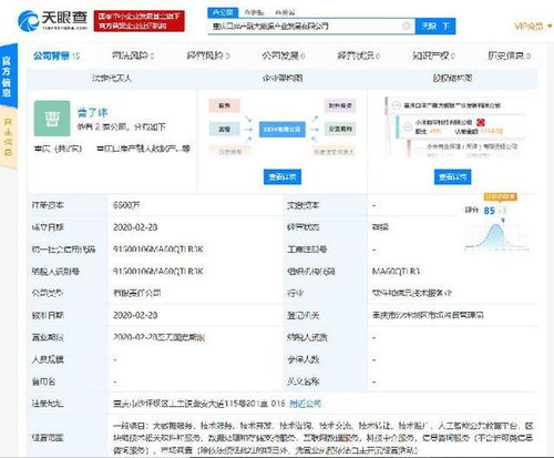 小米落子重慶，成立產融大數據公司，布局區塊鏈與數據處理服務